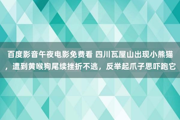 百度影音午夜电影免费看 四川瓦屋山出现小熊猫，遭到黄喉狗尾续挫折不逃，反举起爪子思吓跑它