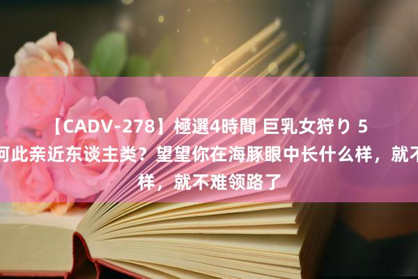 【CADV-278】極選4時間 巨乳女狩り 5 海豚为奈何此亲近东谈主类？望望你在海豚眼中长什么样，就不难领路了