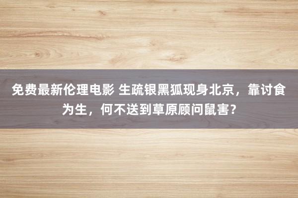 免费最新伦理电影 生疏银黑狐现身北京，靠讨食为生，何不送到草原顾问鼠害？