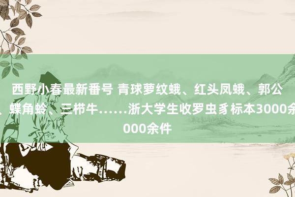 西野小春最新番号 青球萝纹蛾、红头凤蛾、郭公甲、蝶角蛉、三栉牛……浙大学生收罗虫豸标本3000余件