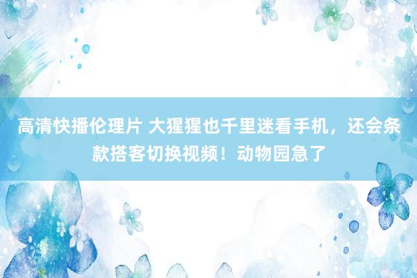 高清快播伦理片 大猩猩也千里迷看手机，还会条款搭客切换视频！动物园急了