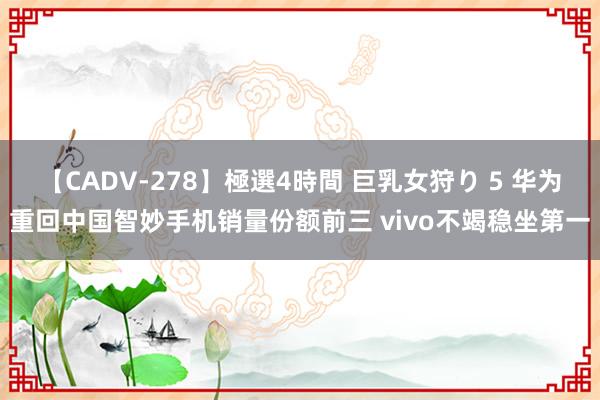 【CADV-278】極選4時間 巨乳女狩り 5 华为重回中国智妙手机销量份额前三 vivo不竭稳坐第一