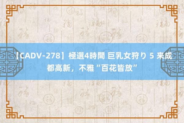 【CADV-278】極選4時間 巨乳女狩り 5 来成都高新，不雅“百花皆放”