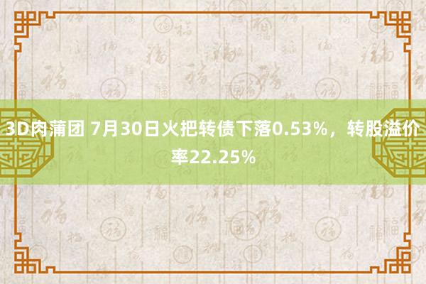 3D肉蒲团 7月30日火把转债下落0.53%，转股溢价率22.25%