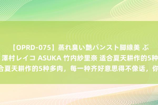 【OPRD-075】蒸れ臭い艶パンスト脚線美 ぶっかけゴックン大乱交 澤村レイコ ASUKA 竹内紗里奈 适合夏天耕作的5种多肉，每一种齐好意思得不像话，你家养了几种？