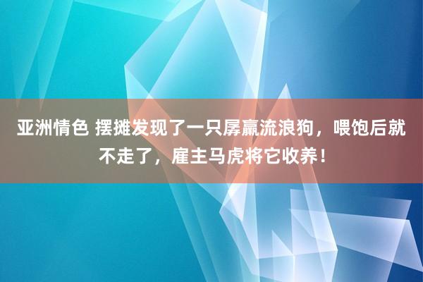 亚洲情色 摆摊发现了一只孱羸流浪狗，喂饱后就不走了，雇主马虎将它收养！