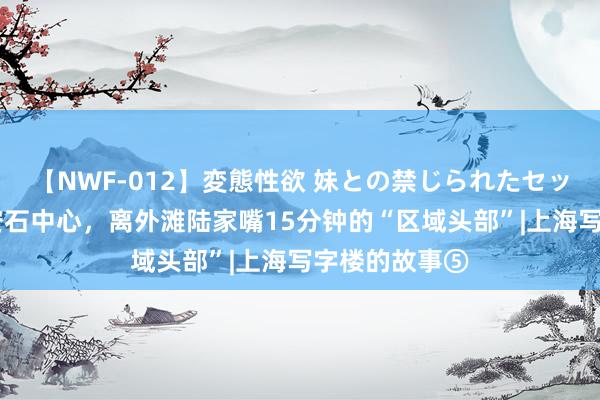 【NWF-012】変態性欲 妹との禁じられたセックス。 光大安石中心，离外滩陆家嘴15分钟的“区域头部”|上海写字楼的故事⑤