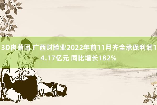 3D肉蒲团 广西财险业2022年前11月齐全承保利润14.17亿元 同比增长182%