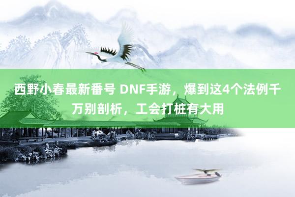 西野小春最新番号 DNF手游，爆到这4个法例千万别剖析，工会打桩有大用