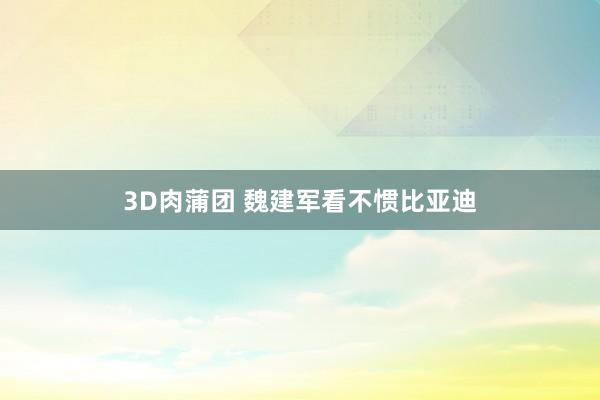 3D肉蒲团 魏建军看不惯比亚迪