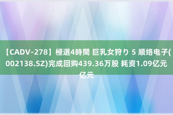 【CADV-278】極選4時間 巨乳女狩り 5 顺络电子(002138.SZ)完成回购439.36万股 耗资1.09亿元