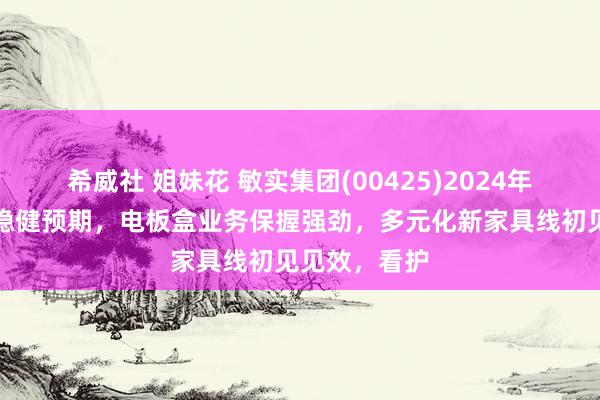 希威社 姐妹花 敏实集团(00425)2024年上半年岁迹稳健预期，电板盒业务保握强劲，多元化新家具线初见见效，看护