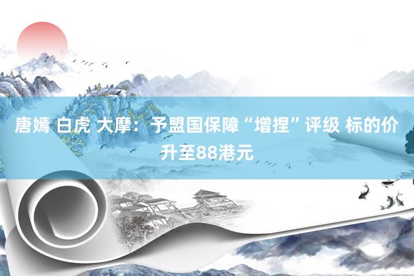 唐嫣 白虎 大摩：予盟国保障“增捏”评级 标的价升至88港元