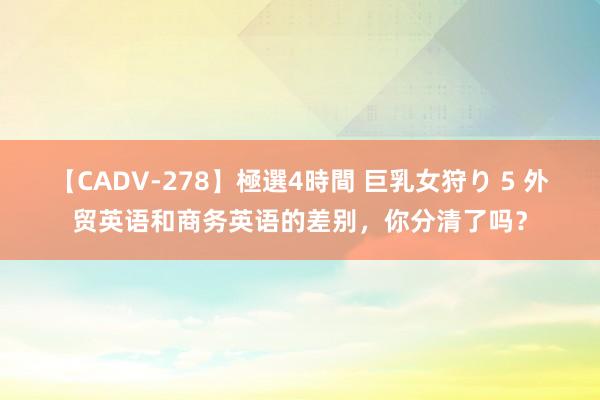 【CADV-278】極選4時間 巨乳女狩り 5 外贸英语和商务英语的差别，你分清了吗？