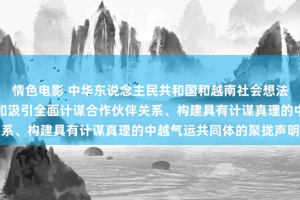 情色电影 中华东说念主民共和国和越南社会想法共和国对于进一步深化和汲引全面计谋合作伙伴关系、构建具有计谋真理的中越气运共同体的聚拢声明