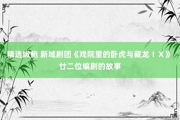 精选嫩鲍 新域剧团《戏院里的卧虎与藏龙ＩＸ》　廿二位编剧的故事